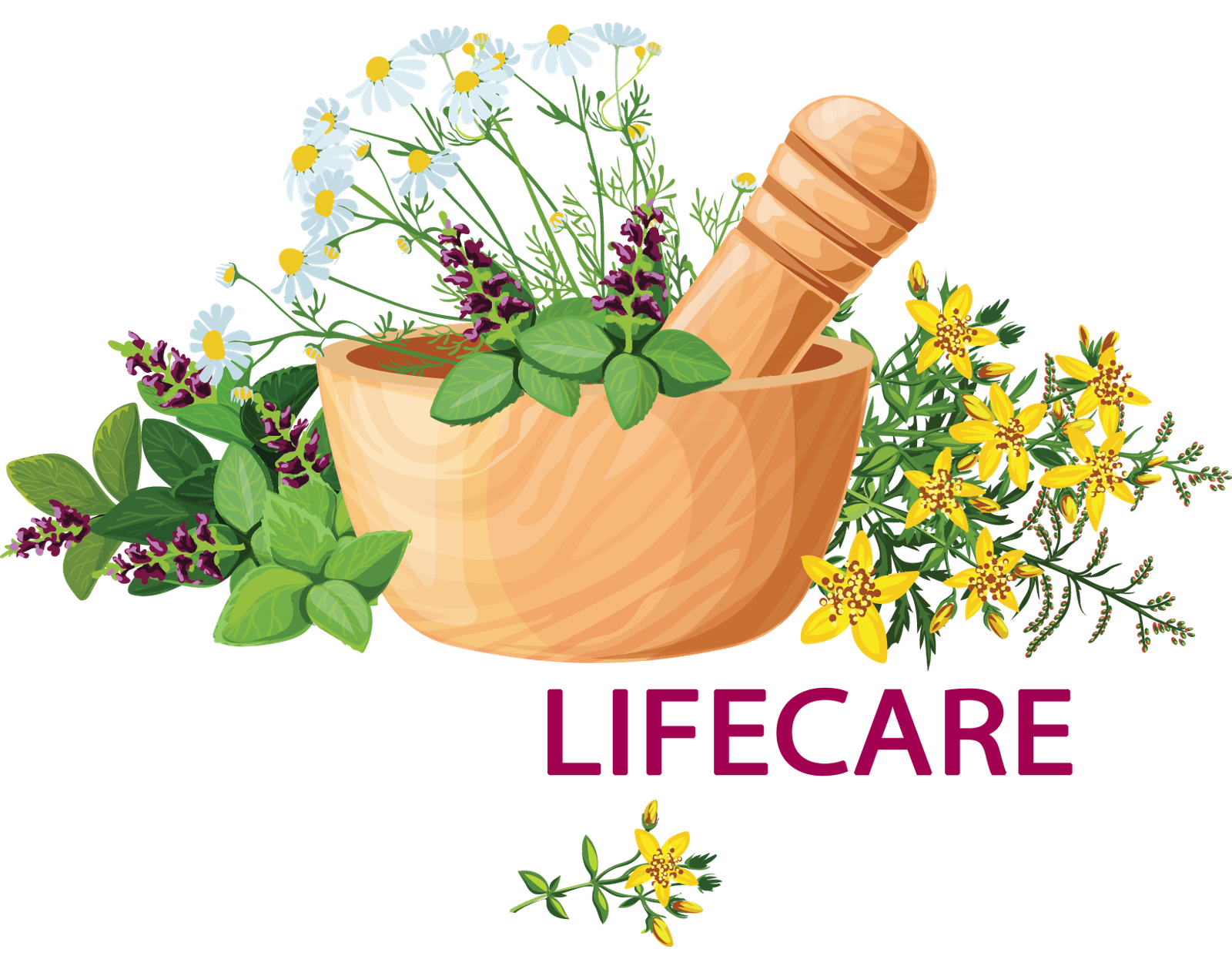 Asba Life Care for customized Unani and herbal manufacturing solutions