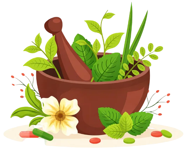 Herbal Medicine - Mortar Pestle with Natural Herbs