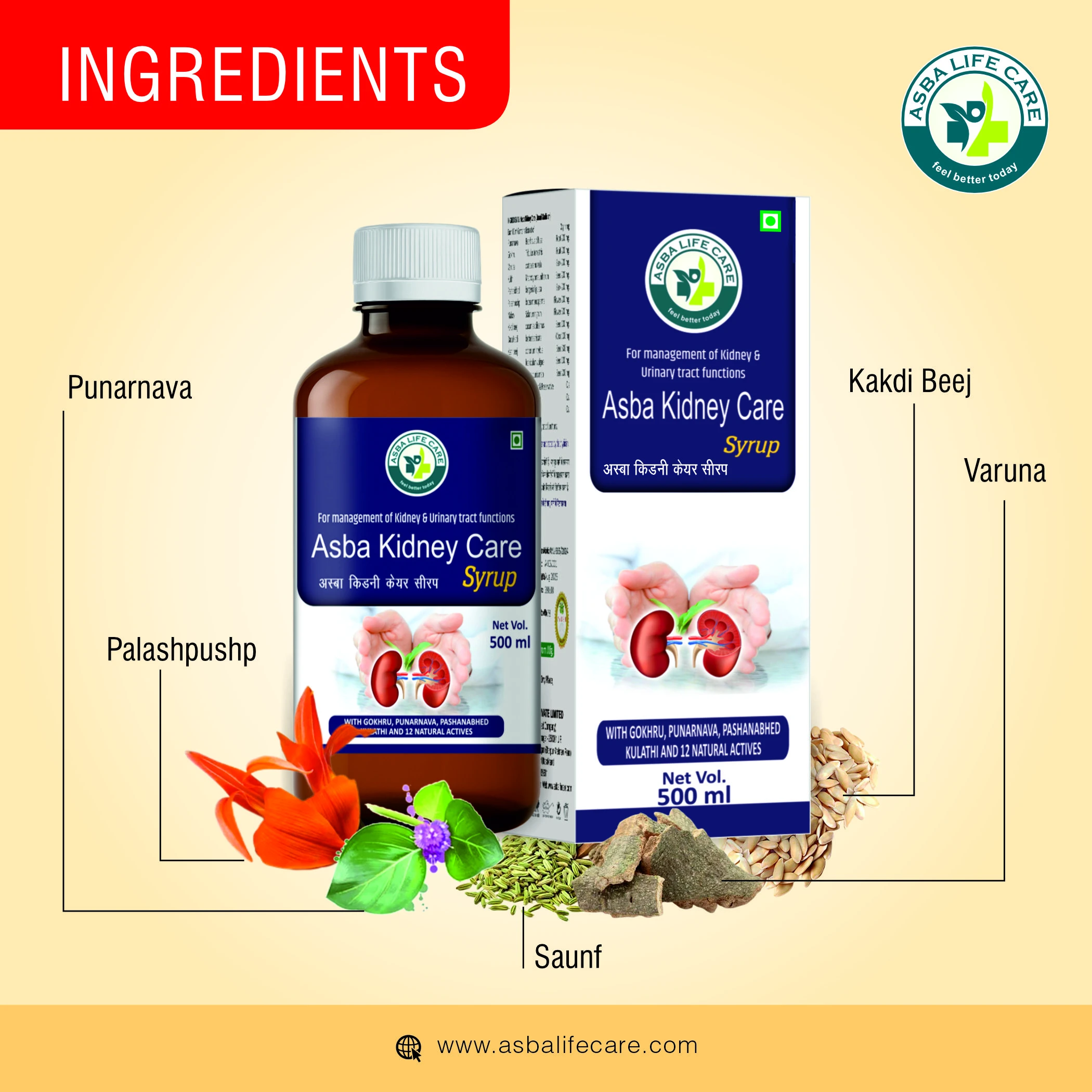 Asba Kidney Care Syrup - Hover