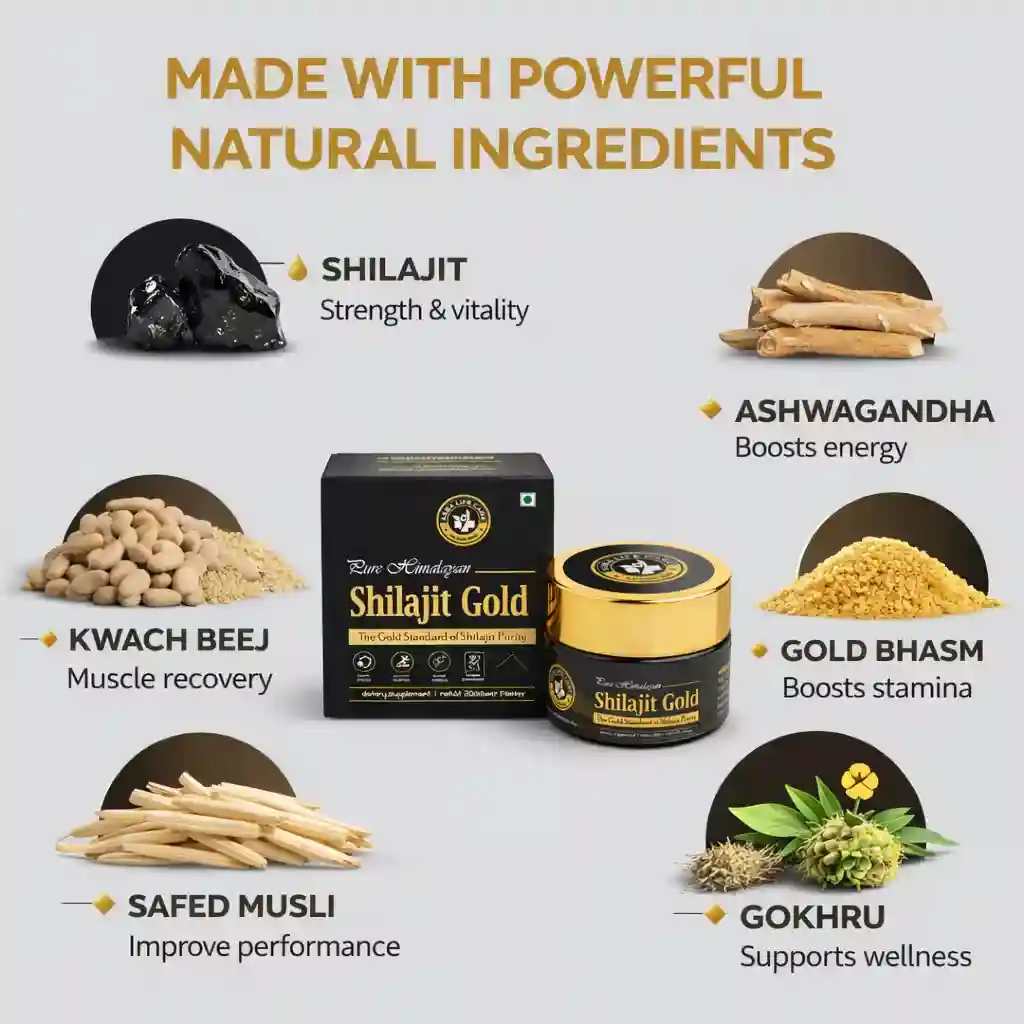 Shilajit Gold - Image 3
