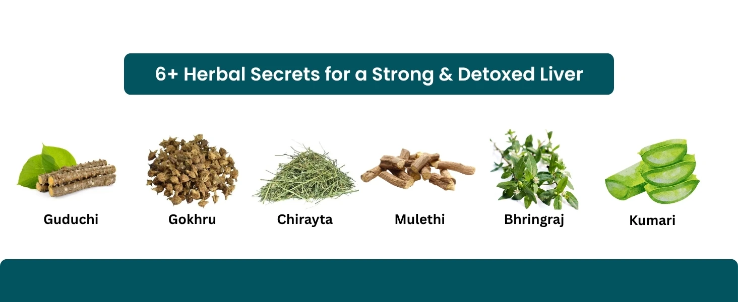 Asba Livo+ Syrup to cleanse your liver from toxins and fat Banner