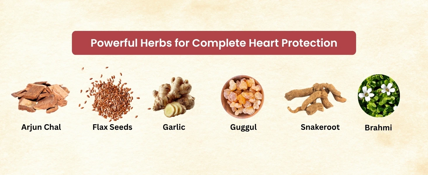 Asba Cardioton | Supports Cardiovascular Health Banner