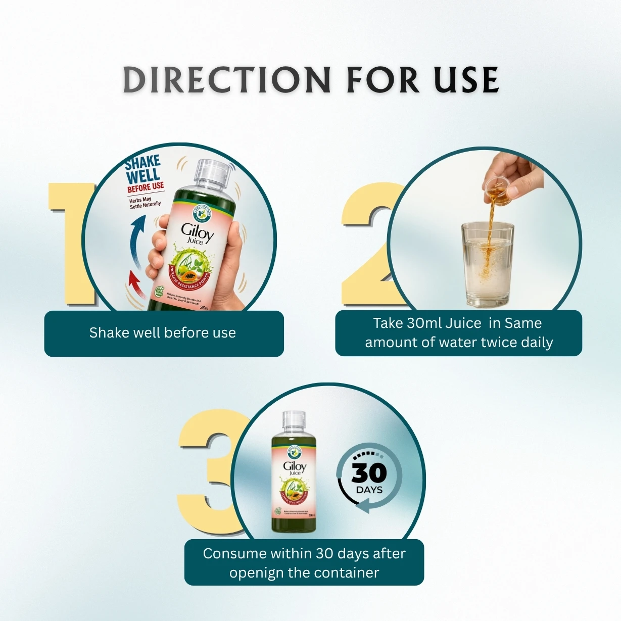 Asba Giloy Juice - Image 4