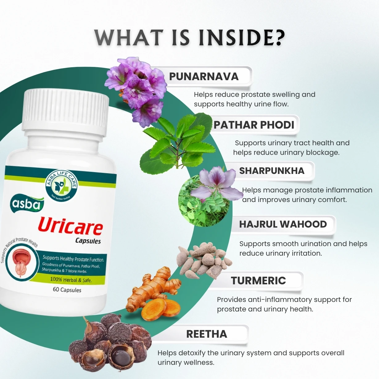 Asba Uricare Capsule - Image 2