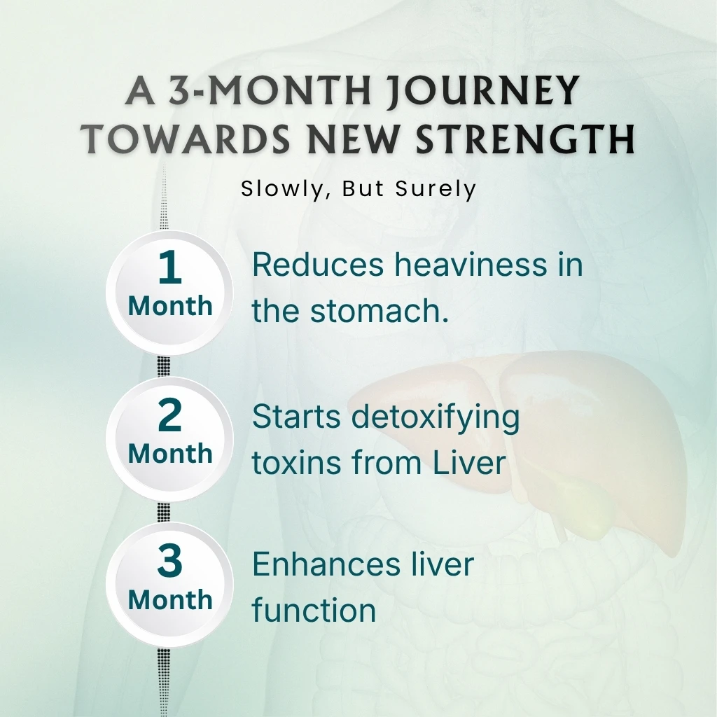 Fatty Liver Care Combo - Image 6