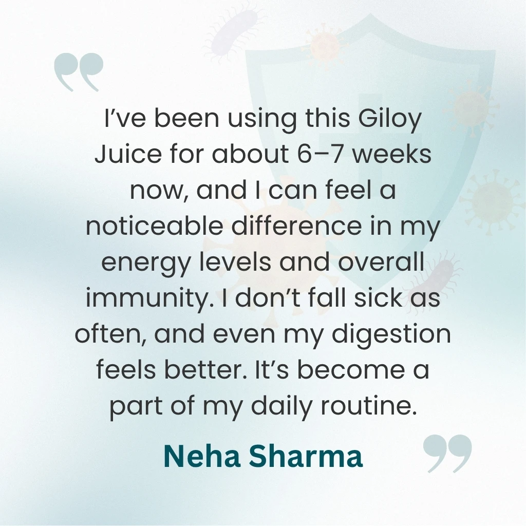 Winter Immunity Booster Combo - Image 8
