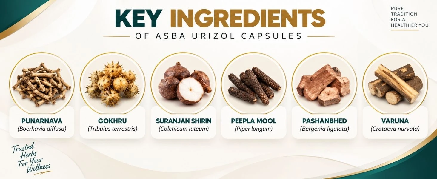 Asba Urizol Capsule Banner