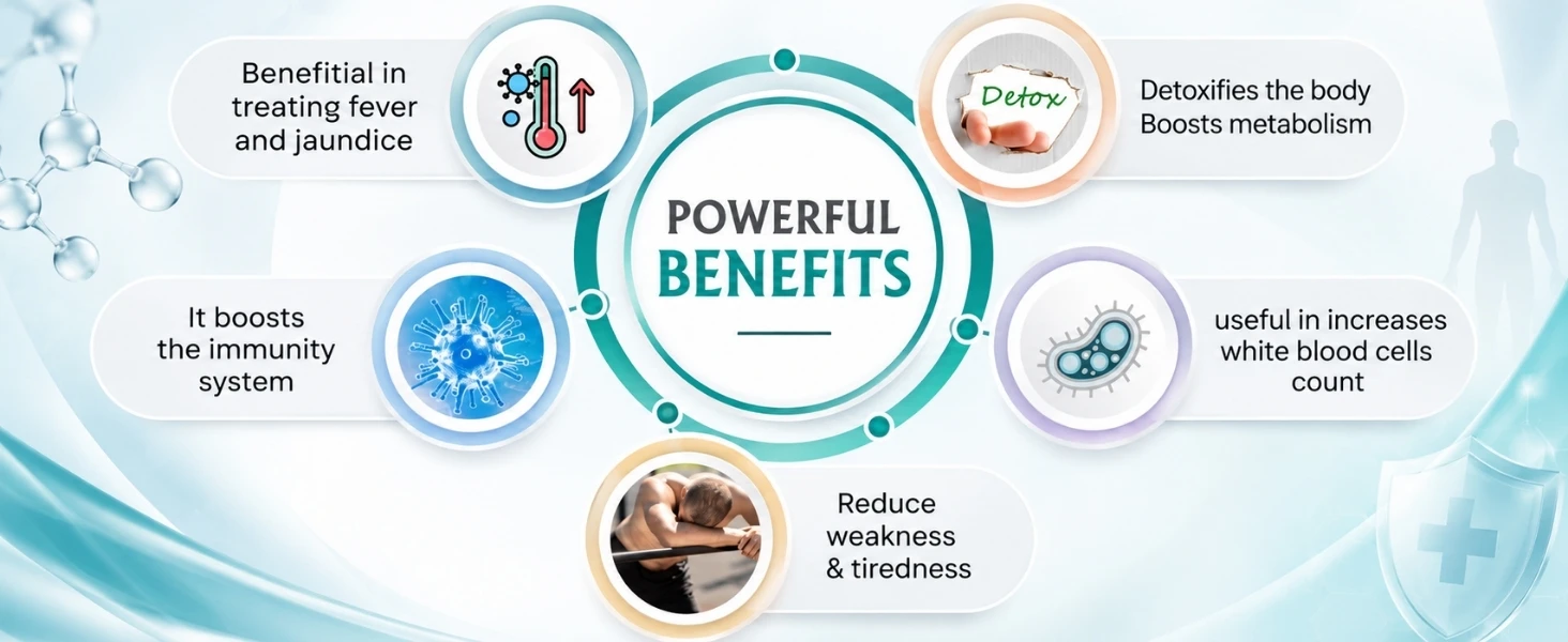 Immunity Booster For All Season Banner