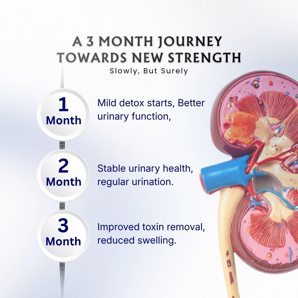Kidney Care Combo - Image 6