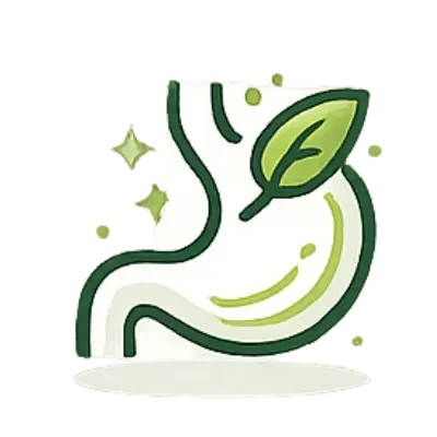 Improves Digestion & Metabolism