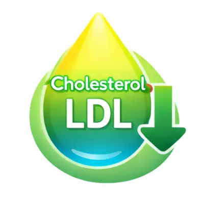 Helps control cholesterol levels