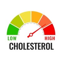 Helps control cholesterol levels