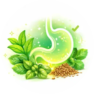 Improves Digestion Naturally