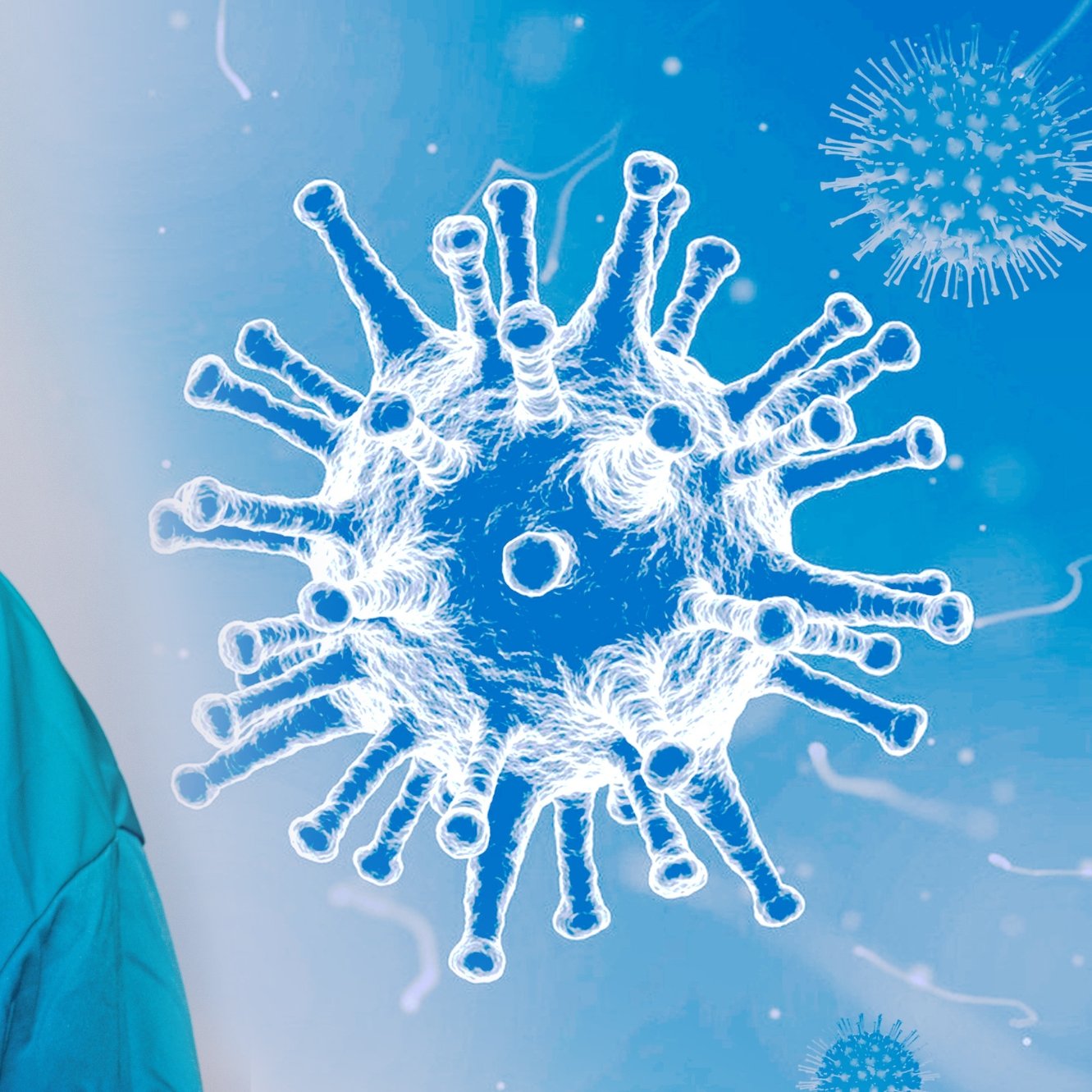 It boosts the immunity system
