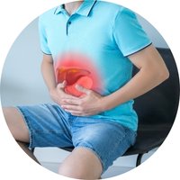 Supports Healthy Liver Function