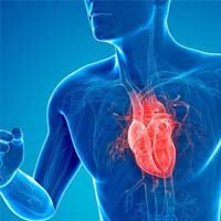 Rich in Antioxidants