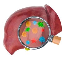 Supports Natural Liver Cleansing