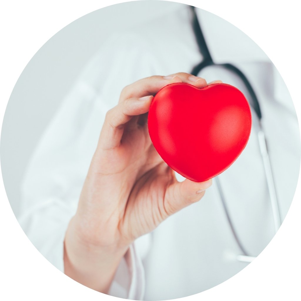 Supports Heart Wellness