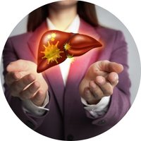 Supports Natural Liver Wellness & Cleansing