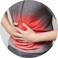 Supports Digestive Comfort