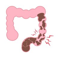 Supports Comfortable Bowel Movement