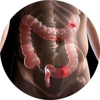 Supports Digestive & Gut Comfort