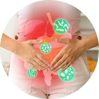 Supports Gut Comfort