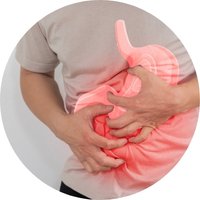 Supports Digestive & Metabolic Wellness