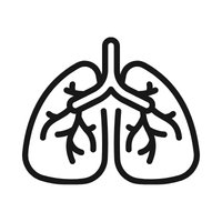 Supports Healthy Breathing