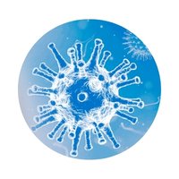 Supports Natural Immune Function