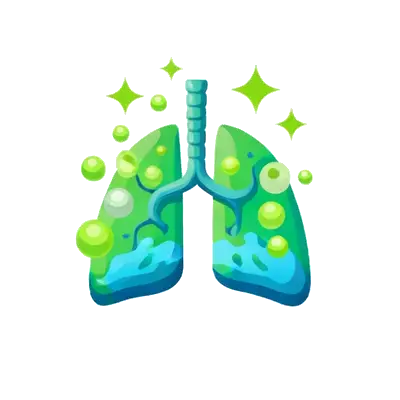 Supports cleansing and healthy functioning of the lungs