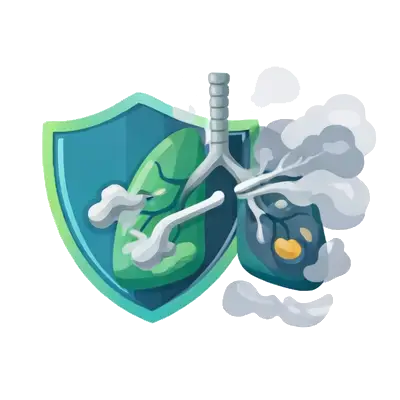 Helps minimize the effects of pollution and environmental dust