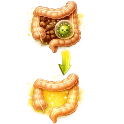 Keeps the stomach clean and light