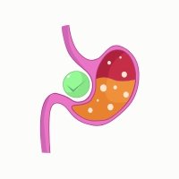 Improves digestion and bowel movement