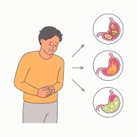 Reduces gas, bloating, and heaviness