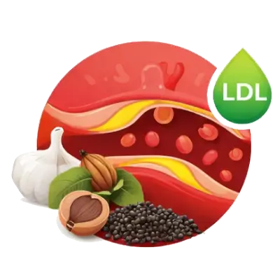 Lasuna (Garlic), Haritaki, Vibhitaki, Kali Mirch