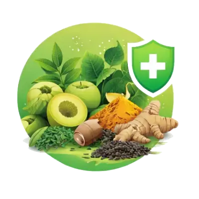 Amla, Haridra (Turmeric), Guduchi, Bhumiamla