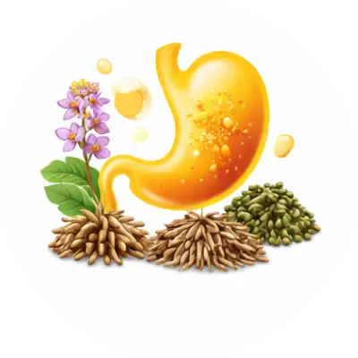 Chirayata, Pittapada, Ajwain