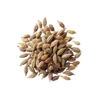 Ajwain