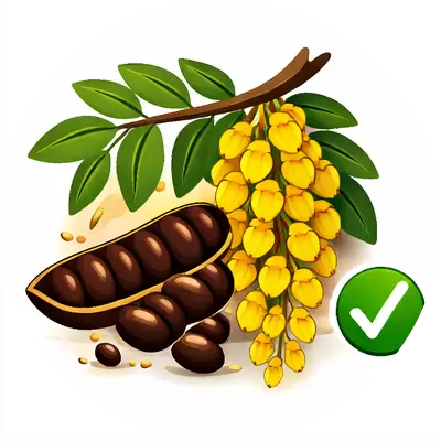 Aragvadha, Nibhitaki