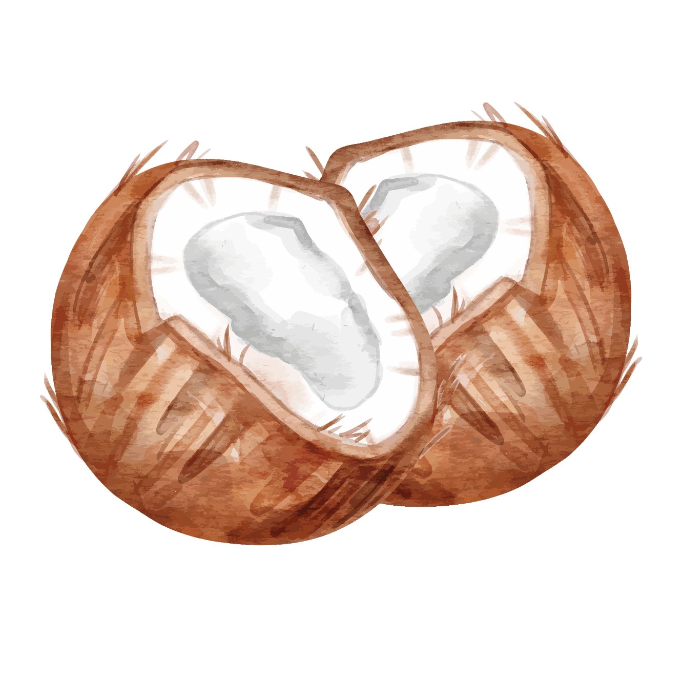 Coconuts