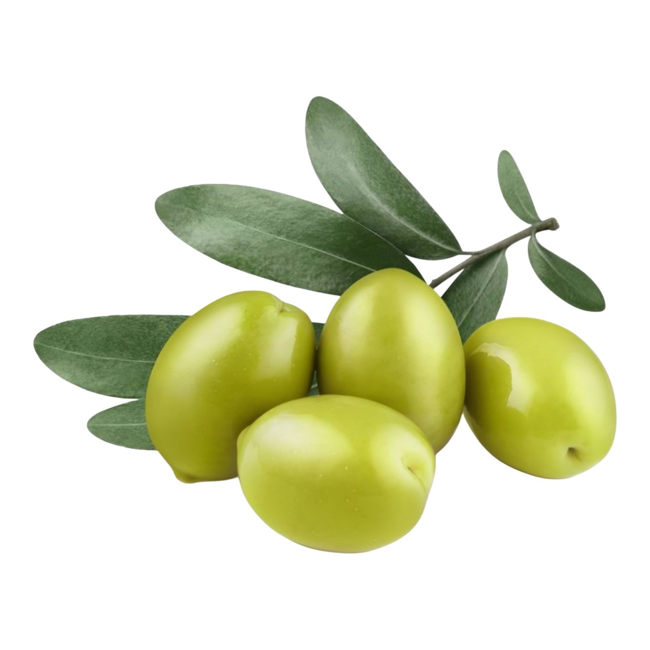 Olive Oil