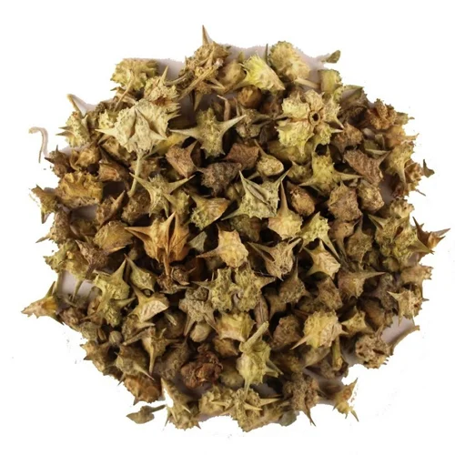 Gokhru Extract