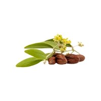 Jojoba Oil