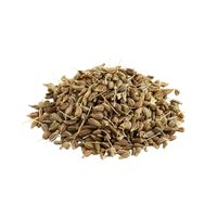 Ajwain Extract (Trachyspermum ammi)