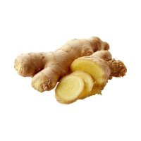 Ginger (Zingiber officinale)
