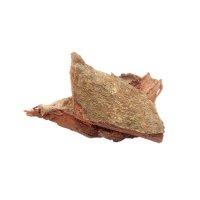 Arjuna (Terminalia arjuna)