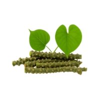 Giloy (Tinospora cordifolia)