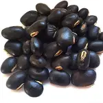 Konch Beej (Mucuna)
