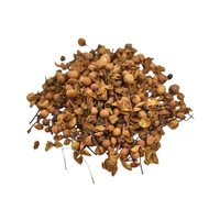 Nagkesar